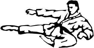 Flykick