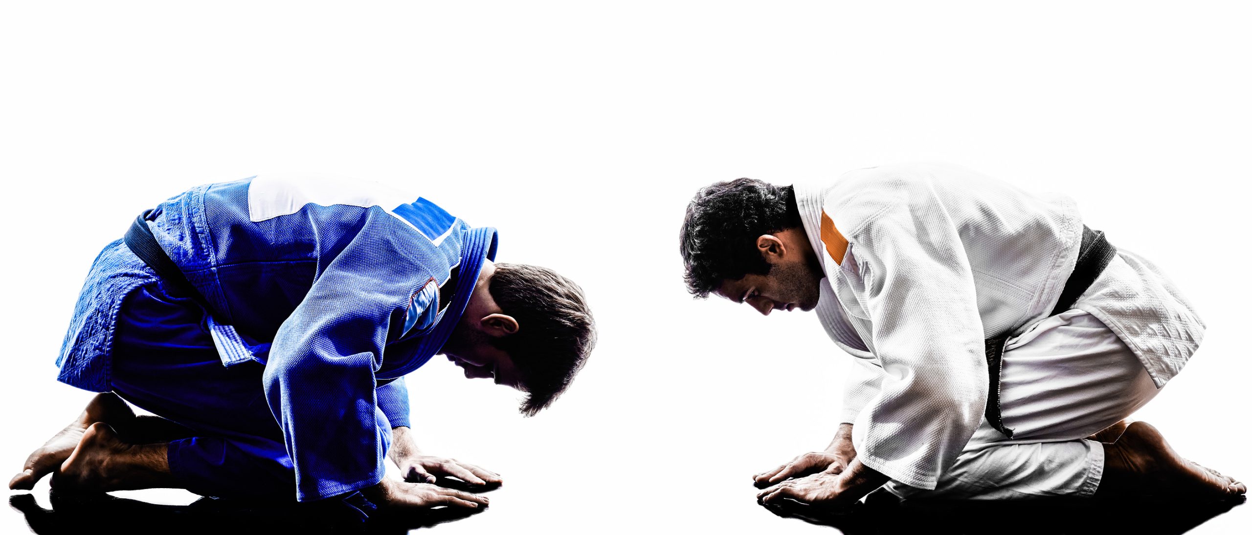 Jiu Jitsu 1 Scaled